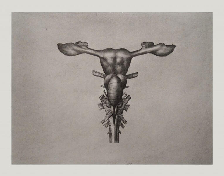 Nicolas Karagiannis, art contemporain, artiste peintre, création artistique | Contemporary art, painter, artistic creation, dessins biologie