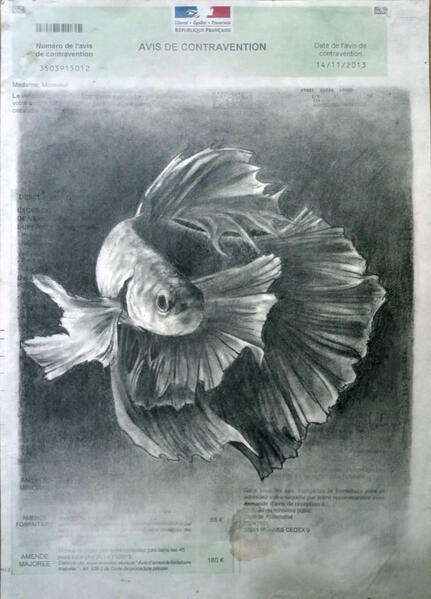 NicolasKaragiannis, art contemporain, artiste peintre, création artistique | Contemporary art, painter, artistic creation, dessins contravention animaux