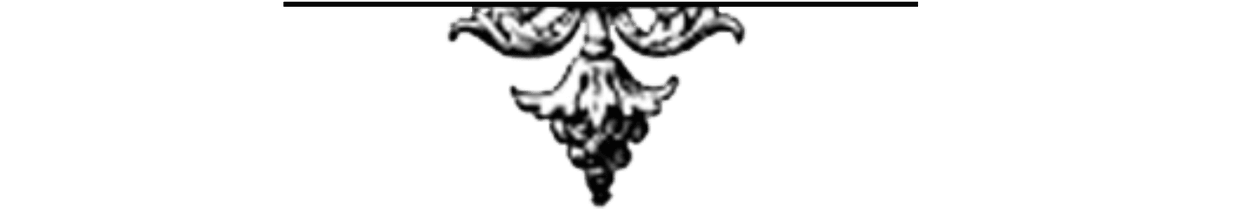 nicolas karagiannis ADPNC, ADP Nuances Chromatiques, association, arts plastiques, projet, école d'art, ateliers, peinture, dessin, Bollène, Paul-Trois-Châteaux, Vaucluse, Drôme, art, artiste, exposition